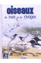 Oiseaux de mer et de rivages