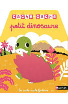 Cache cache petit dinosaure