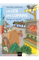 La cité des copains - panique au marché gs/cp 5-6 ans