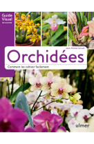 Orchidées - comment les cultiver facilement