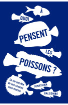 à quoi pensent les poissons