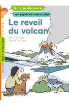 Le reveil du volcan