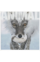 Animal - histoires photographiques