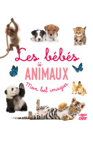 Mon bel imagier - les bebes animaux