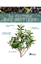 La culture des oliviers