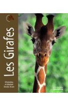 Les girafes - portraits d'animaux