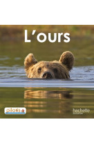 Lecture cp - collection pilotis - album 2 l'ours - edition 2013