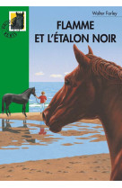 Flamme et l'étalon noir