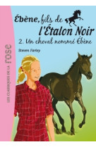 ébène, fils de l'étalon noir 02 - un cheval nommé ébène