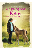 Un poney pour katy - tome 1