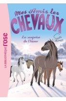 Mes amis les chevaux 07 - la surprise de l'hiver