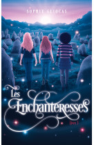 Les enchanteresses - tome 3 -  la porte de sidh