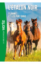 L'etalon noir ned 11 - flamme et les pur-sang