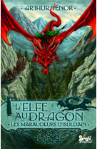 L'elfe au dragon - tome 1 - les maraudeurs d'isuldain