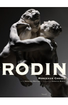 Rodin, morceaux choisis