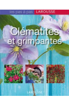 Clématites et grimpantes