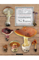 Champignons de nos régions