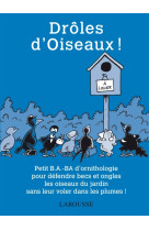 Drôles d'oiseaux !