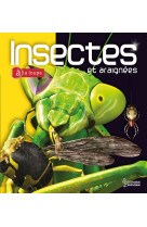 Insectes et araignées