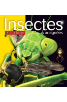 Insectes et araignées