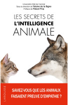 Les secrets de l'intelligence animale