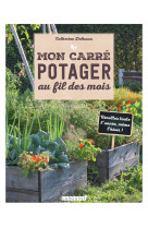 Mon carré potager au fil des mois