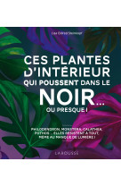 Ces plantes d'intérieur qui poussent dans le noir... ou presque !