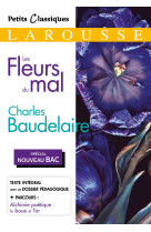 Les fleurs du mal (spécial bac)