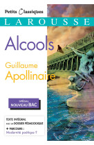 Alcools (spécial bac)