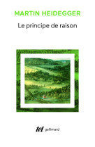 Le principe de raison