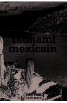 Tsunami mexicain