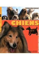 Chiens