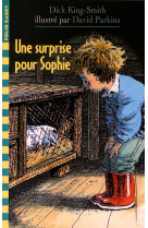 Une surprise pour sophie