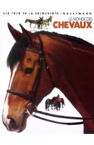 Le monde des chevaux