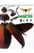 Le royaume des insectes