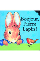 Bonjour pierre lapin