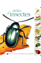 Droles d'insectes