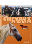 Chevaux et poneys