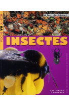 Insectes