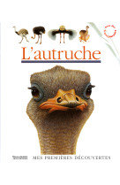 L'autruche