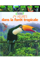 Dans la forêt tropicale