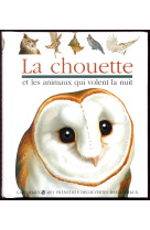 La chouette et les oiseaux qui volent la nuit