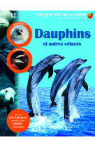 Dauphins et autres cétacés