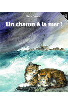 Un chaton a la mer !