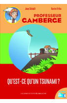 Qu'est-ce qu'un tsunami?