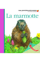 La marmotte