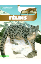 Félins