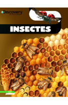 Insectes