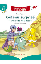 Gâteau surprise - premières lectures fin cp