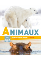 En photos et en videos - animaux